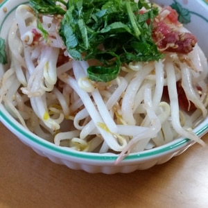 節約1食30円！レンジで簡単☆もやしの梅肉和え